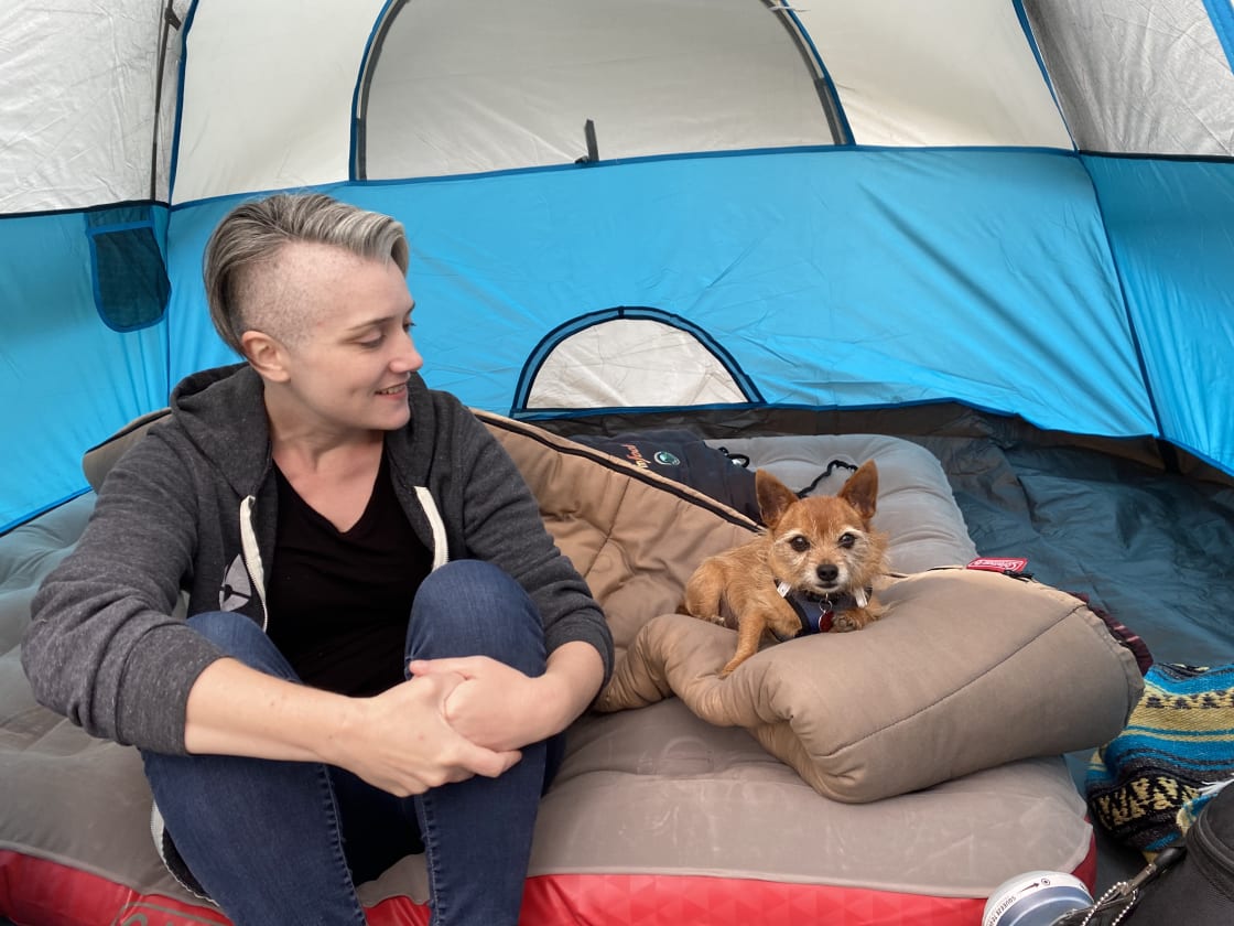 Chooby the pup chilling in the tent