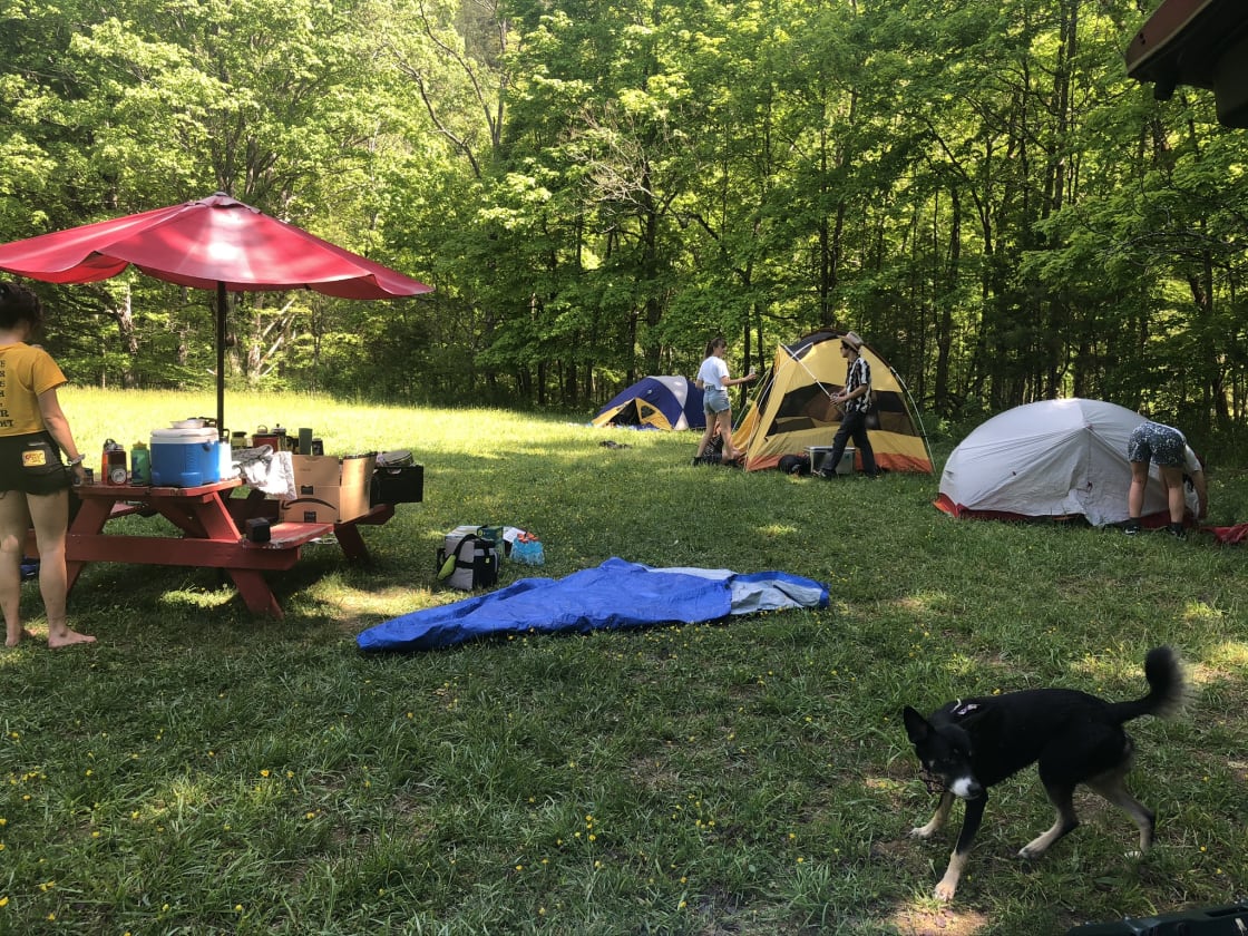 Camping Field Spot