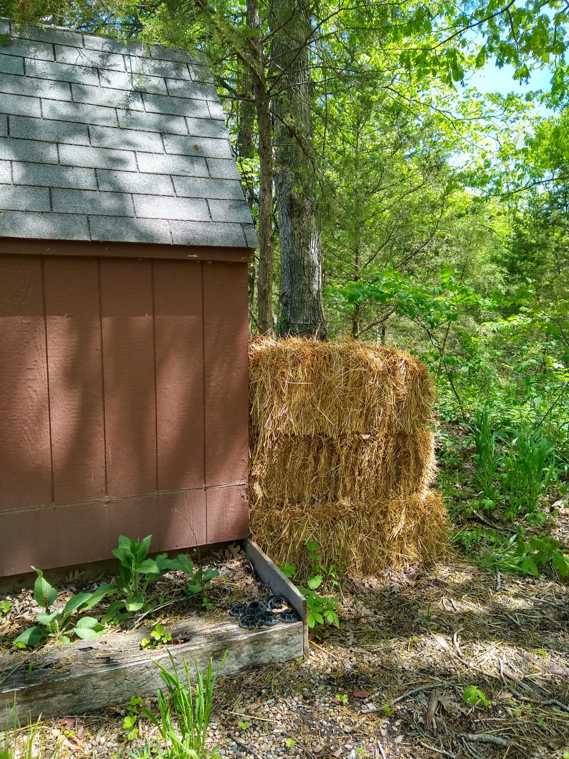 Behind the BunkHouse there is a screen of hay bales. And behind the hay bale is a bucket toilet with another bucket of sawdust to cover your business. We compost it all in a very Eco-friendly Humanure system.