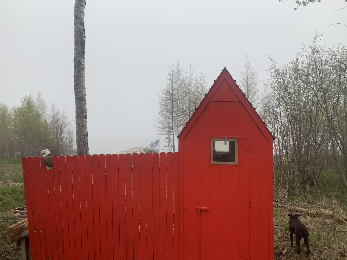 A closeup of the red shed 