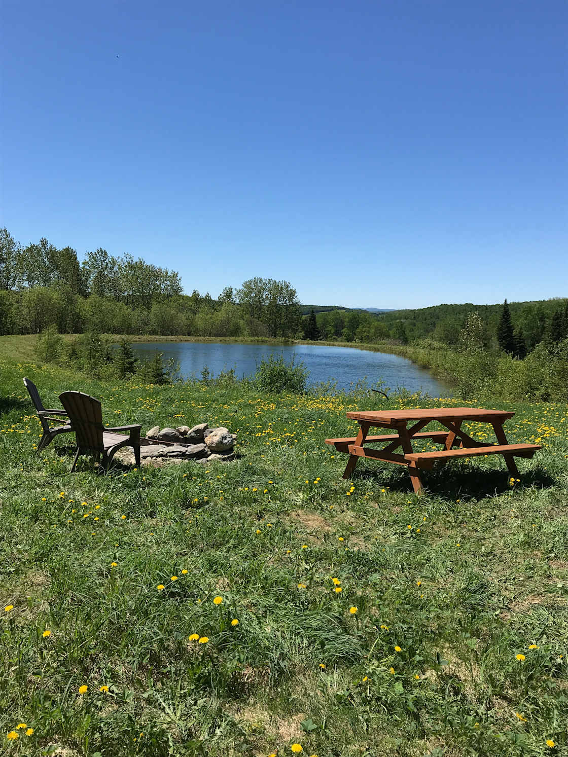 Spring pond campsite offers all the amenities for a fine camping experience complete with picnic table, fire pit and lounge chairs.
