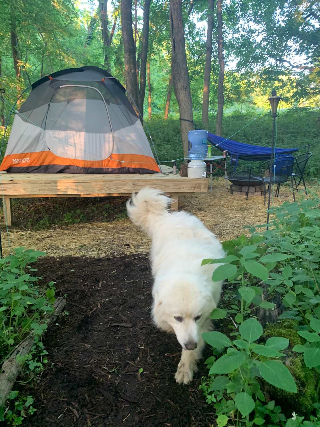 Fern Hollow Farm