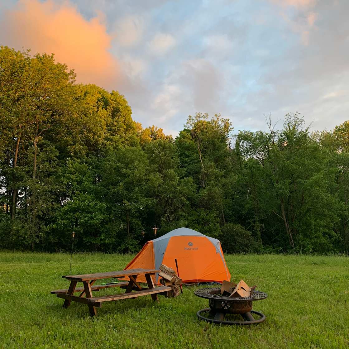 Fern Hollow Farm