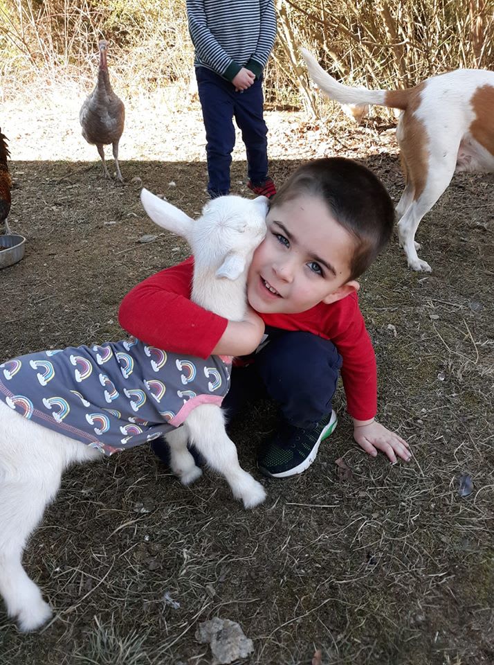 Baby goat love