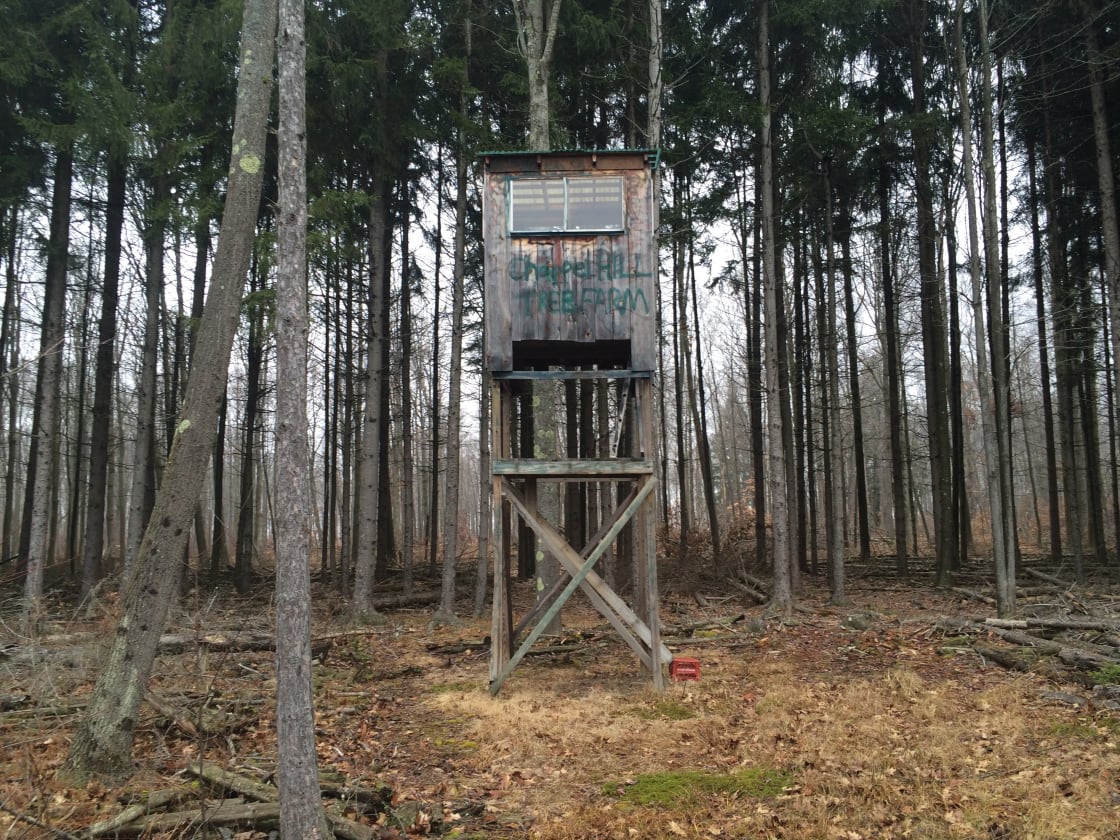 Our tree house for hunting and wildlife viewing