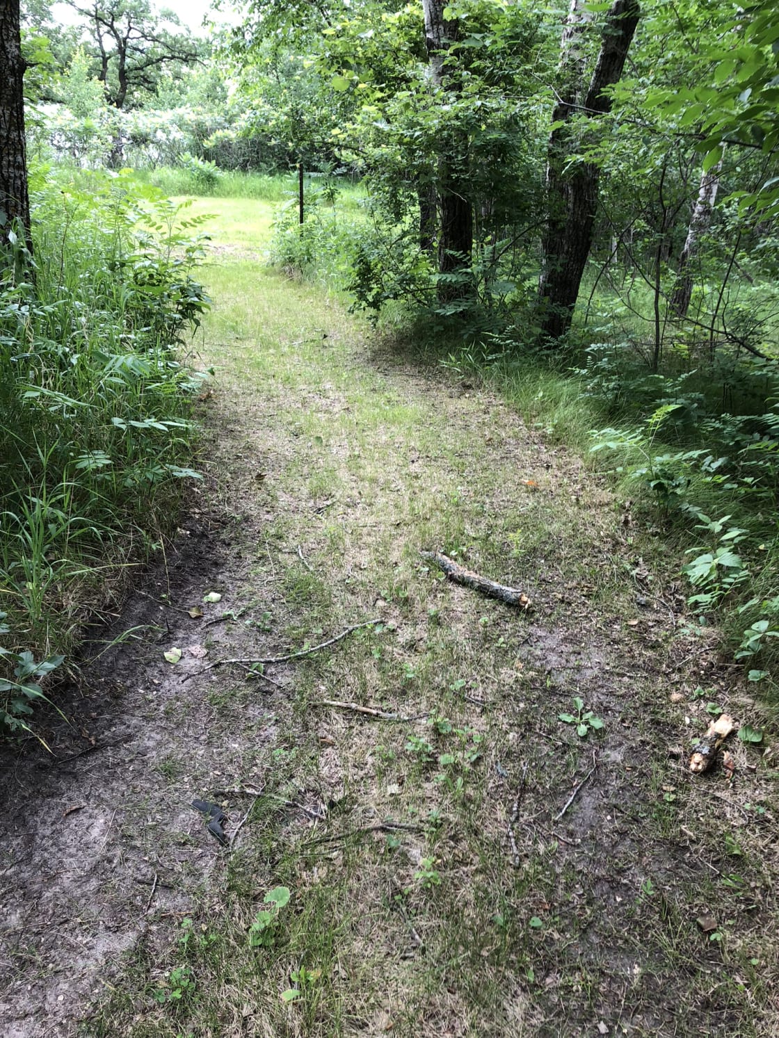 Path to the most rustic camping spot in the woods. Very private but the ground is at a slope and you are surrounded by mosquitoes! This spot is for the wild and brave ones! ;)