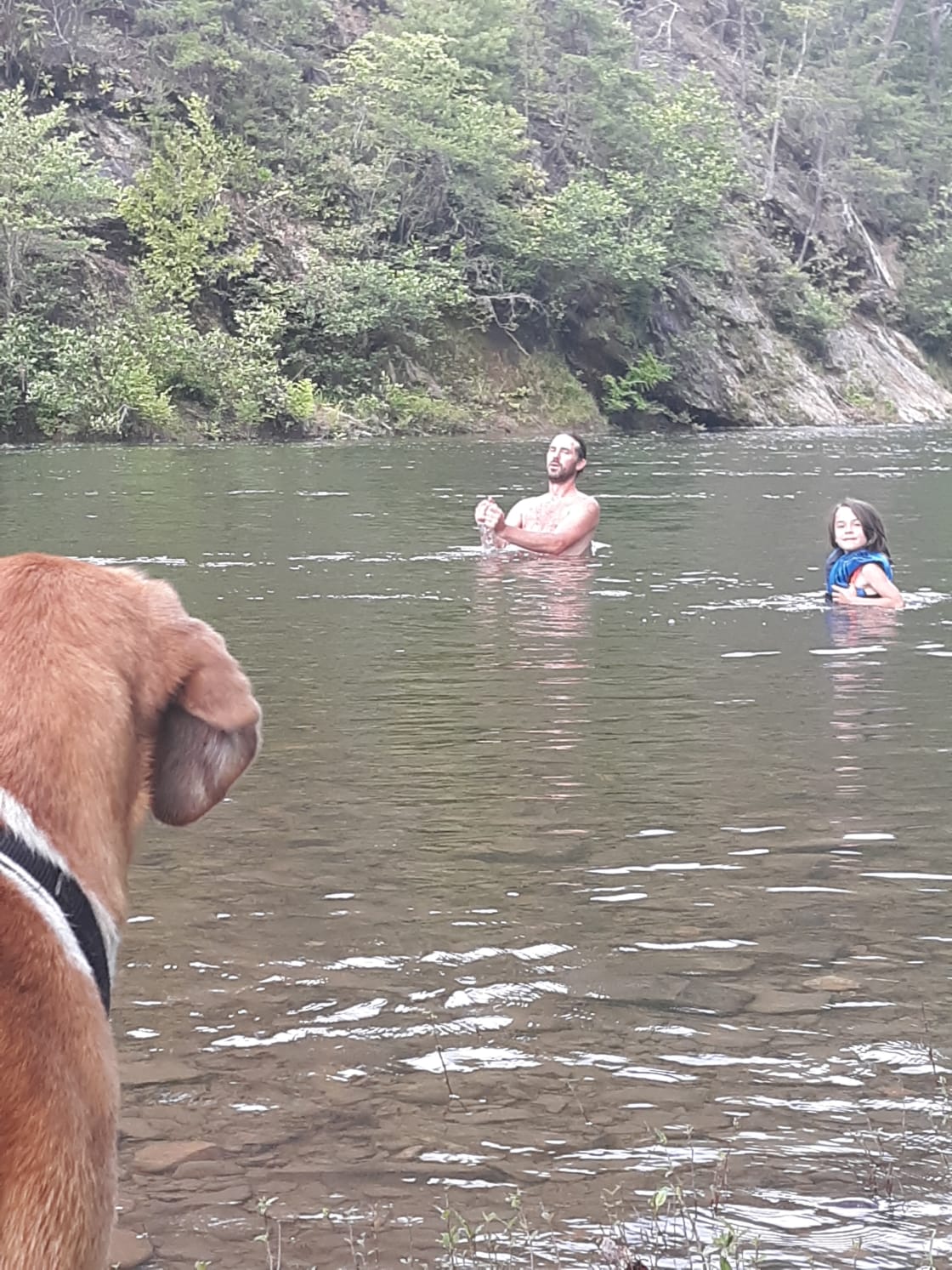 Cooling off in the river