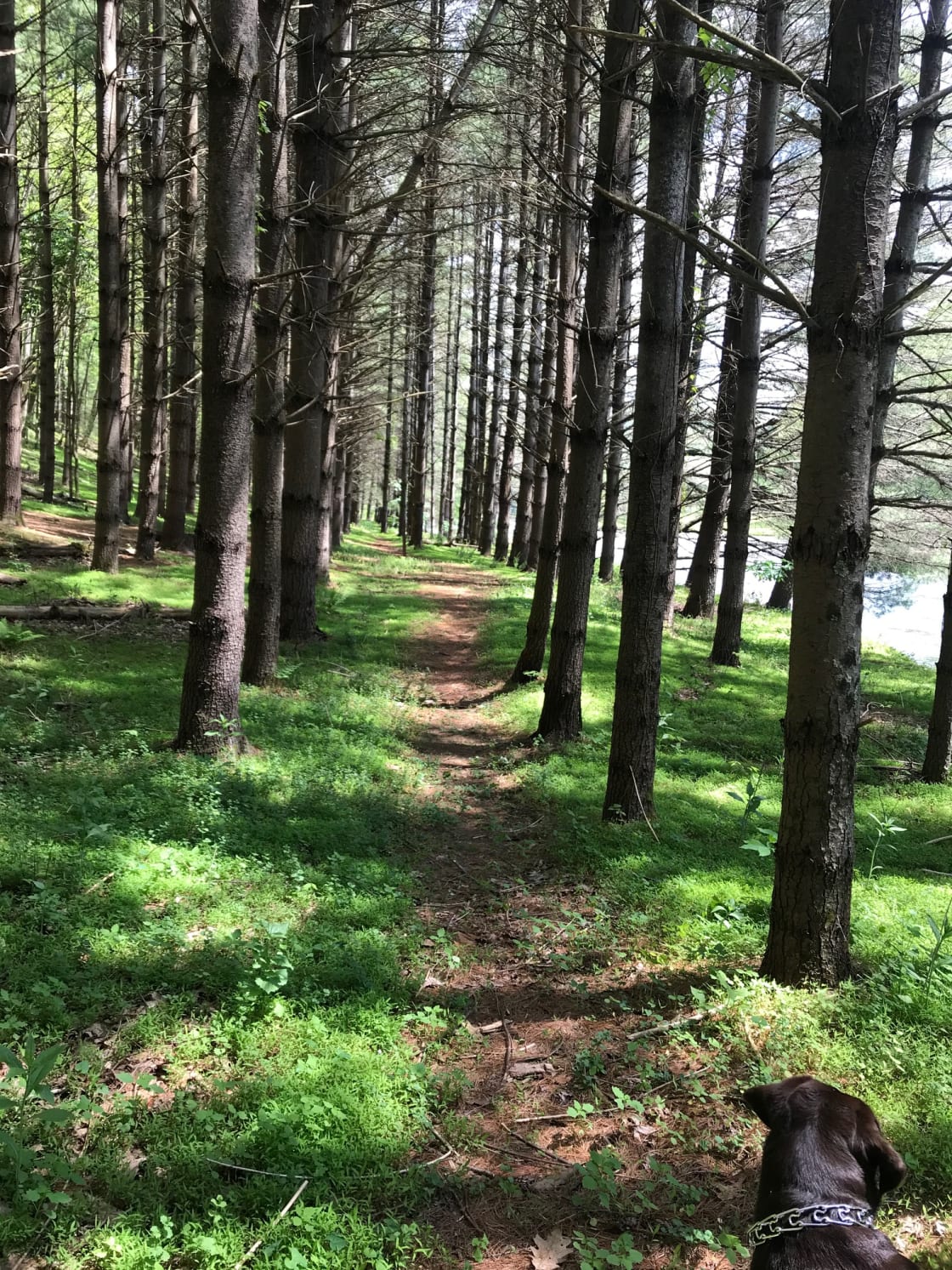 Enjoy a hike at the New River State Park - the trails are gorgeous and the park is impeccably maintained!