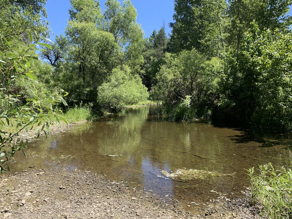 Ten Mile Creek (early summer)