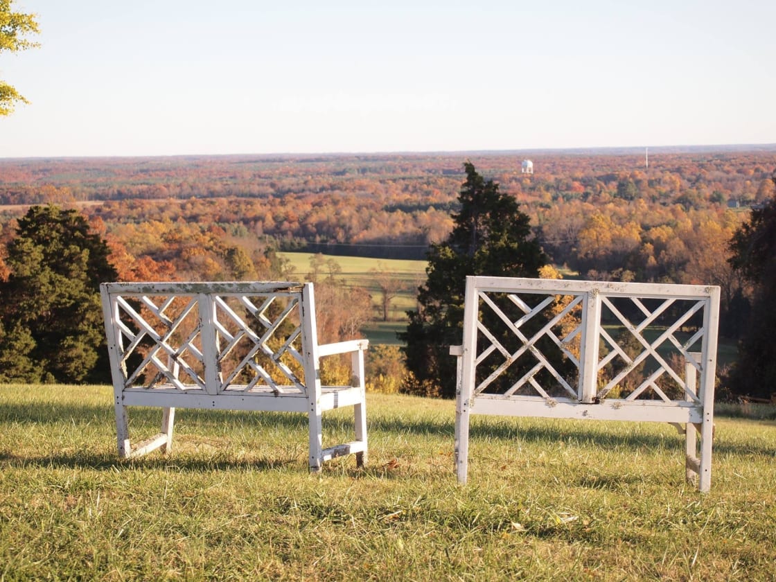 Few places offer more beautiful scenery in the Fall.  Come sit on the benches & enjoy the view from the top of Ginkgo Hill overlooking the Jefferson Sea.