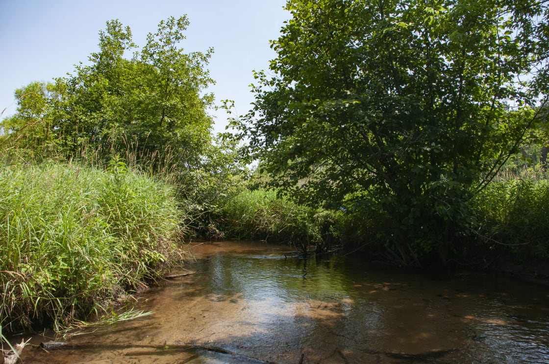 Pine Creek , ( Clean Water to filter )