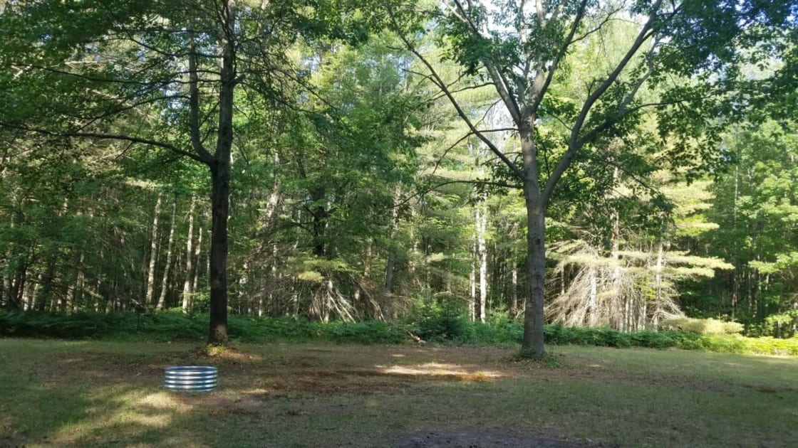Large back in shade site with picnic table and fire pit.