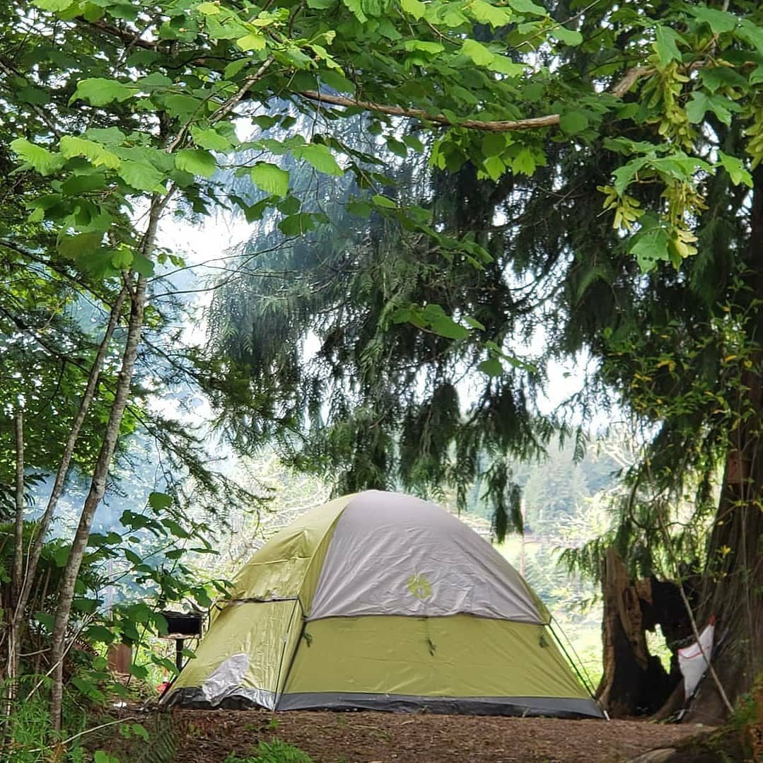 Campers enjoying site 1