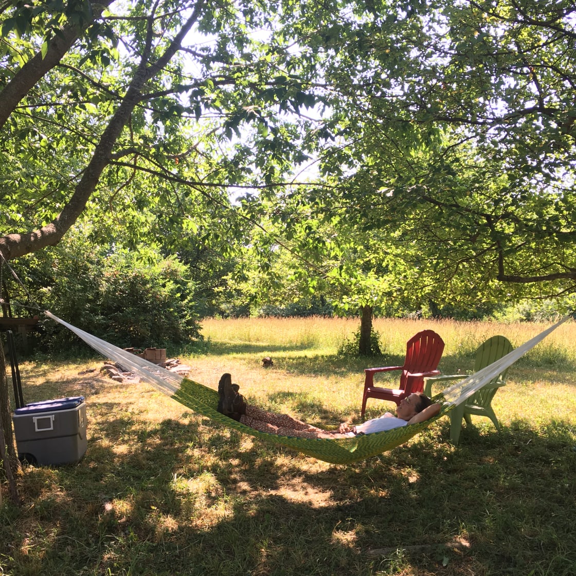 Our bee keeper relaxing at the campsite (BYO hammock)