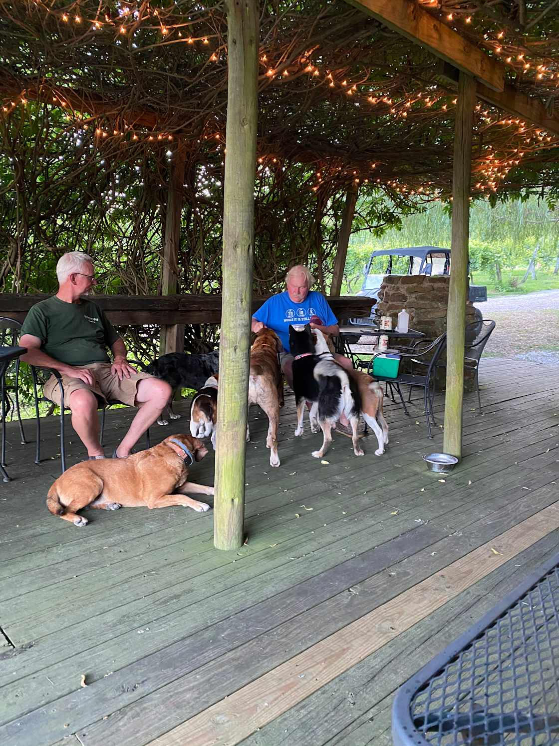 Dog Friendly? I think so!