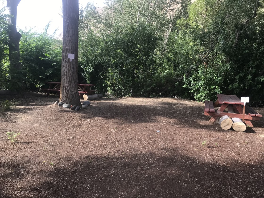 Spot #2a is combined with spot 2b and can fit 2 large tents or 3 small tents.  Spots are divided by a tree in between the spots and are distanced from spot #1 by a picnic table