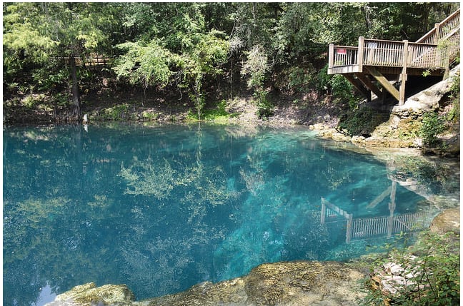 Royal Springs is 5 miles south of the campsite. Take a swim in the crystal clear spring water. The depth of the swimming hole is about 45' and the water flows into the historic Suwannee River.
