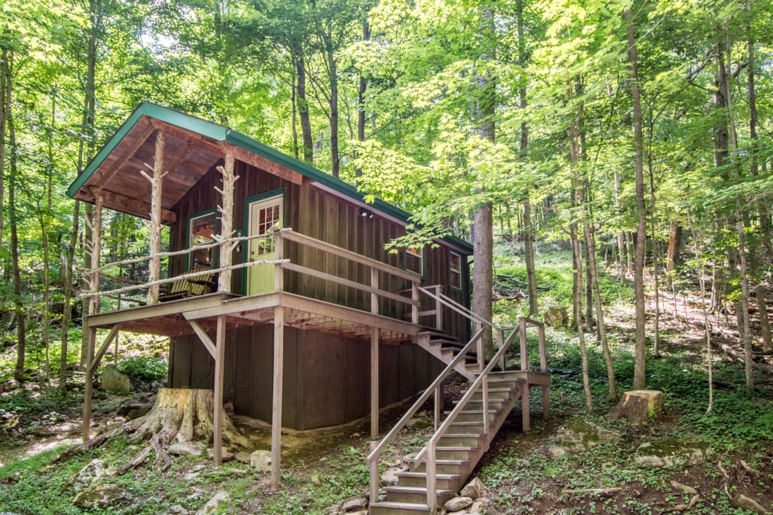 The cabin! Come and get immersed in nature! 