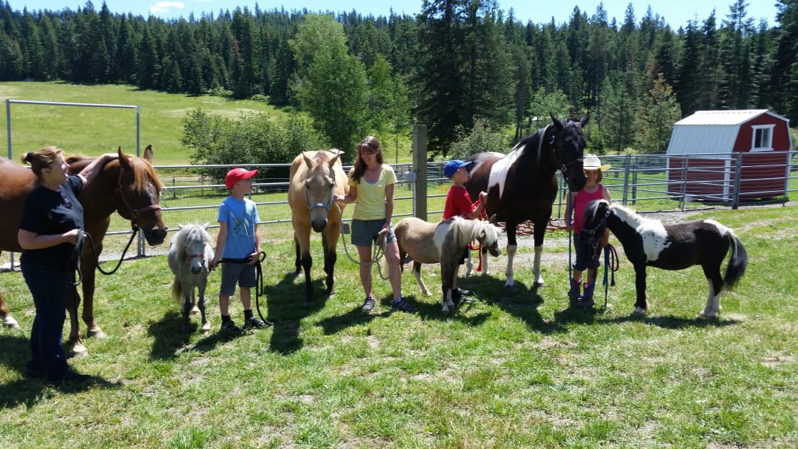 If we have time we will let you go in with our Mini Horses and Donkeys.  We are a working ranch so ask for consideration.