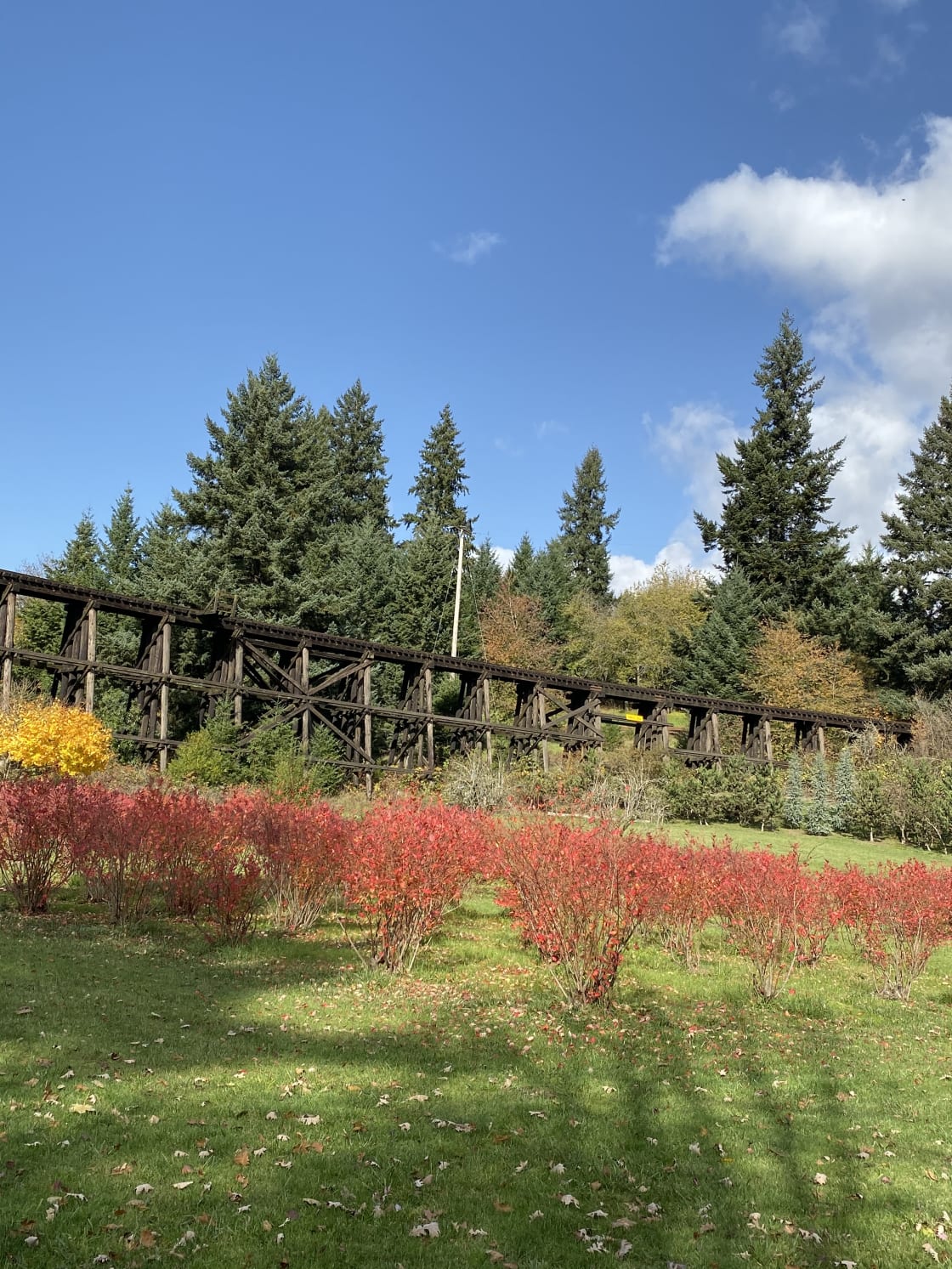 Old railroad trestle (no longer have trains)