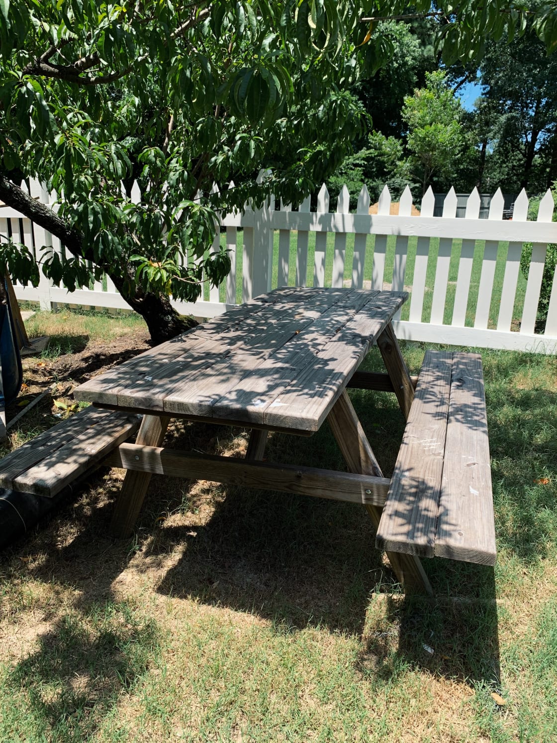picnic table for meals