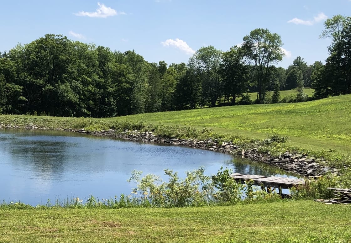 SWIMMING POND (no sites here - its for all guests)... clear, clean, artesian spring fed. One of 4 ponds on the farm. Old dock here...rebuilding it