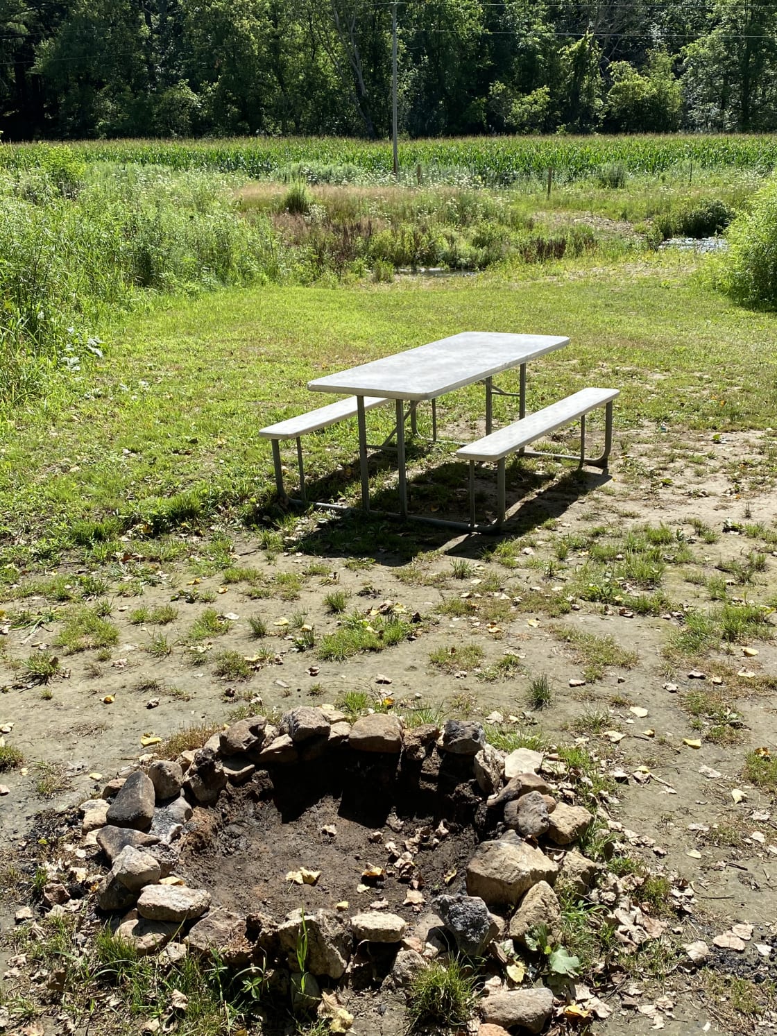 Firepit and picnic table at Bluffside Views