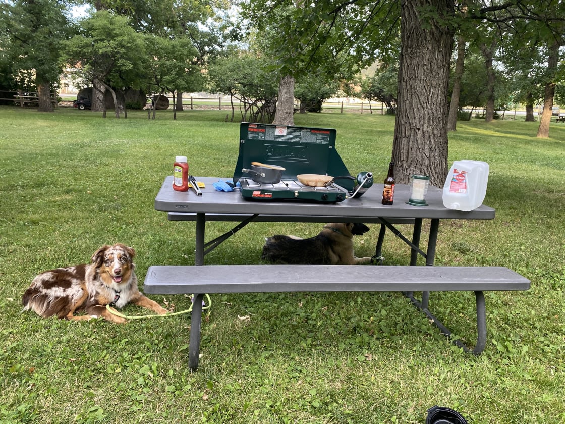 Picnic area at our site with our pups! 