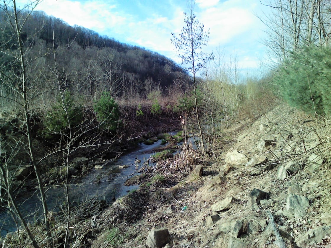 Reclaimed stream and possible camp area.