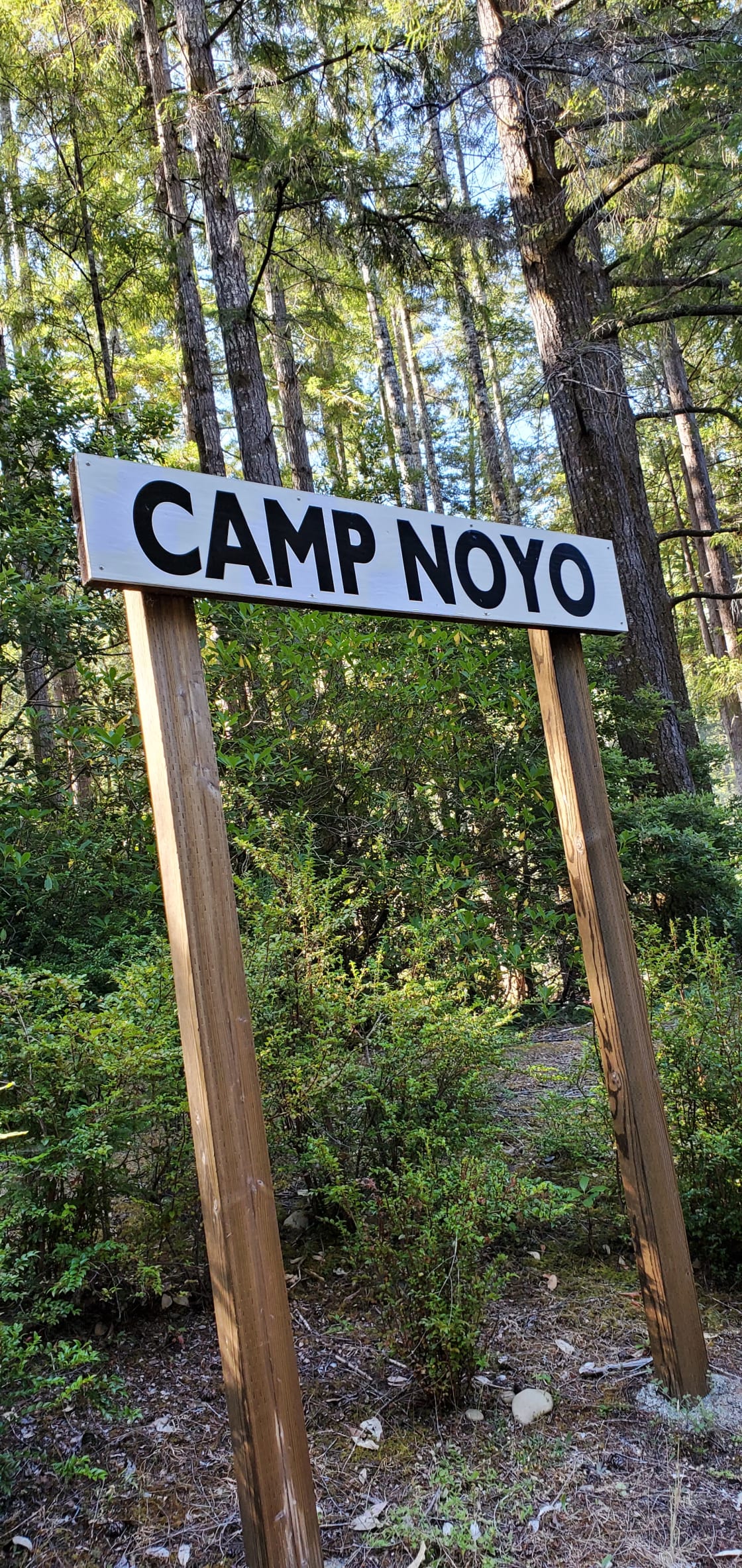 Camp Noyo