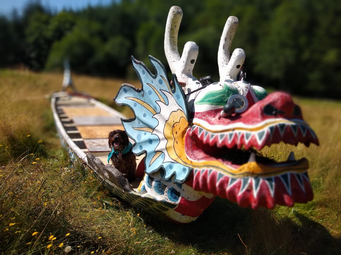 Doug the dragon boat is resting peacefully in the meadow.