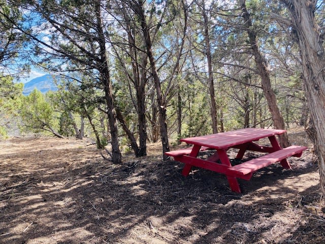 One of the campsites picnic tables in the shade of the juniper trees