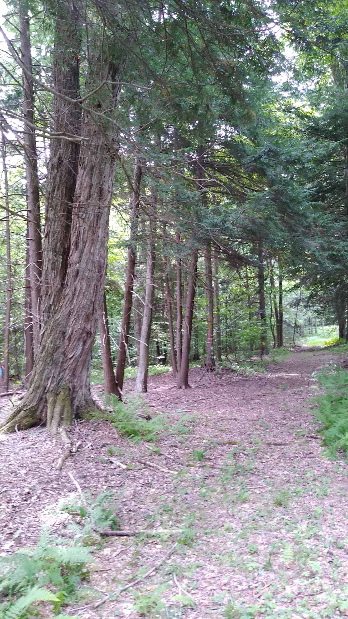 Two mile trail around property.