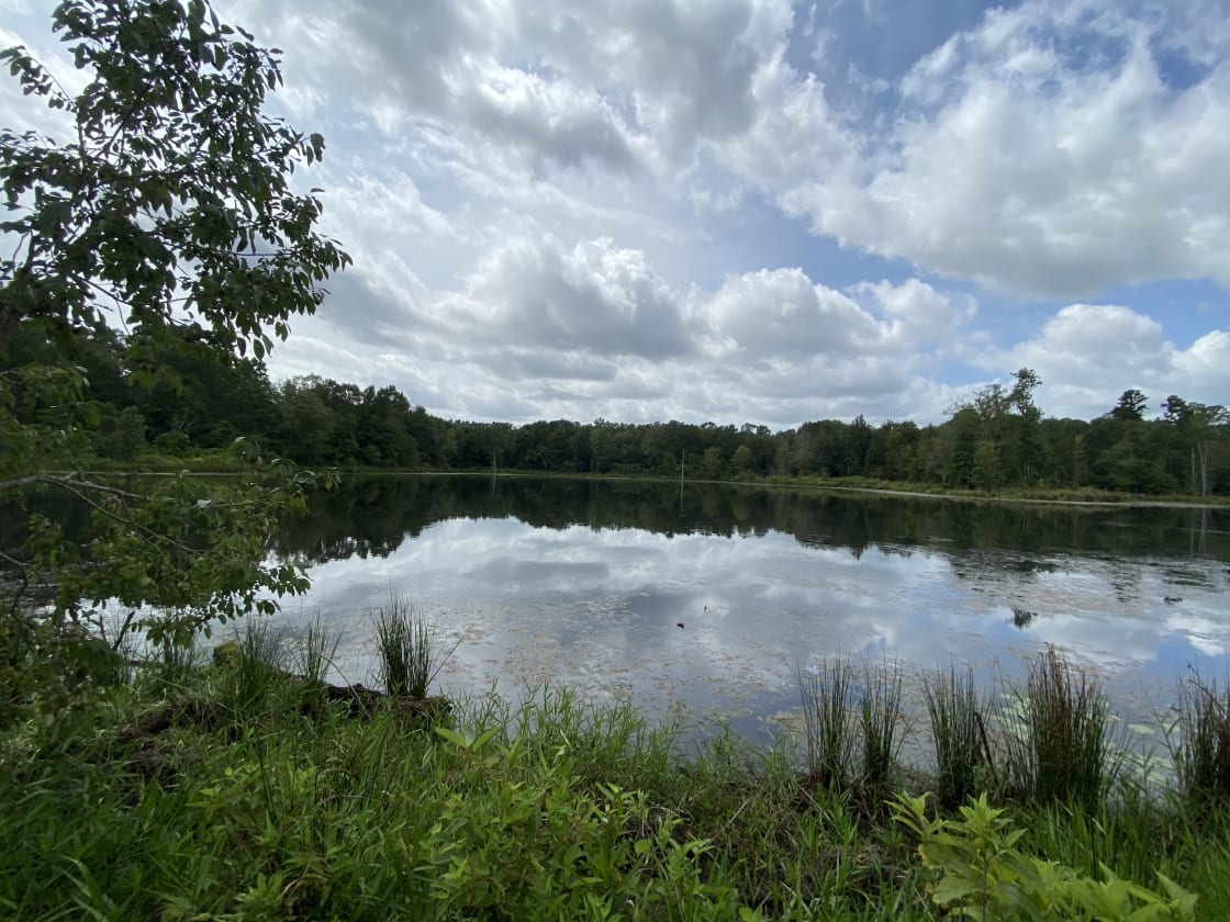 Private 17 acre shared lake
