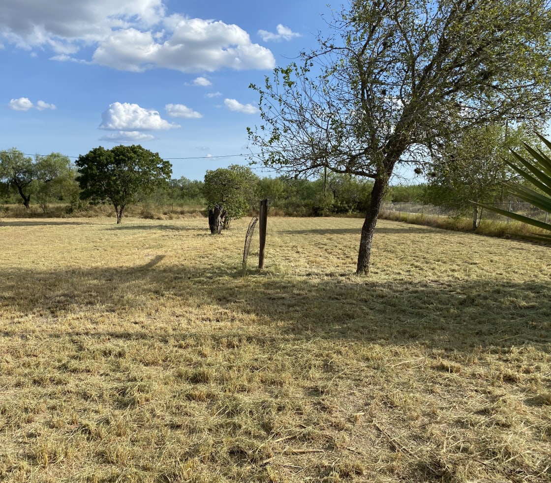 Wildcatter Heirs Hunting Camp