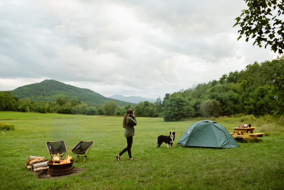 Plenty of space to hang with friends, watch the sunset, cook your favorite camping dinner, and have a fire. Pets are welcome here, too!