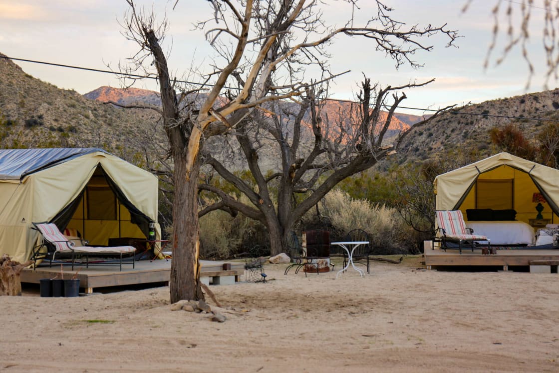 Tent Cabins 1 and 2 are situated far enough apart for privacy and close enough to enjoy with another couple.