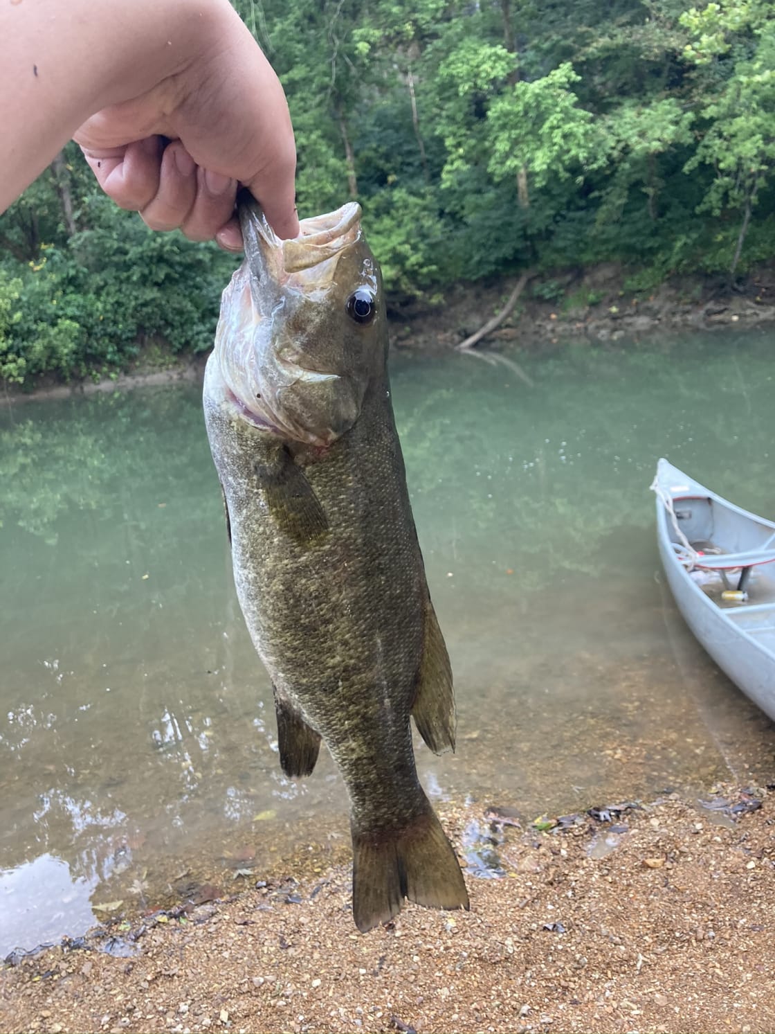 Nice bass caught about 50 feet up the river from the campsite 