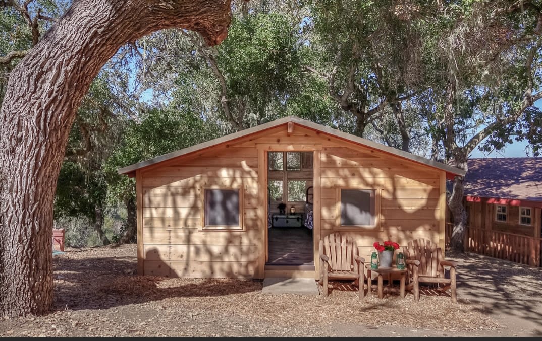 Guest cabin beneath the oak tree canopy