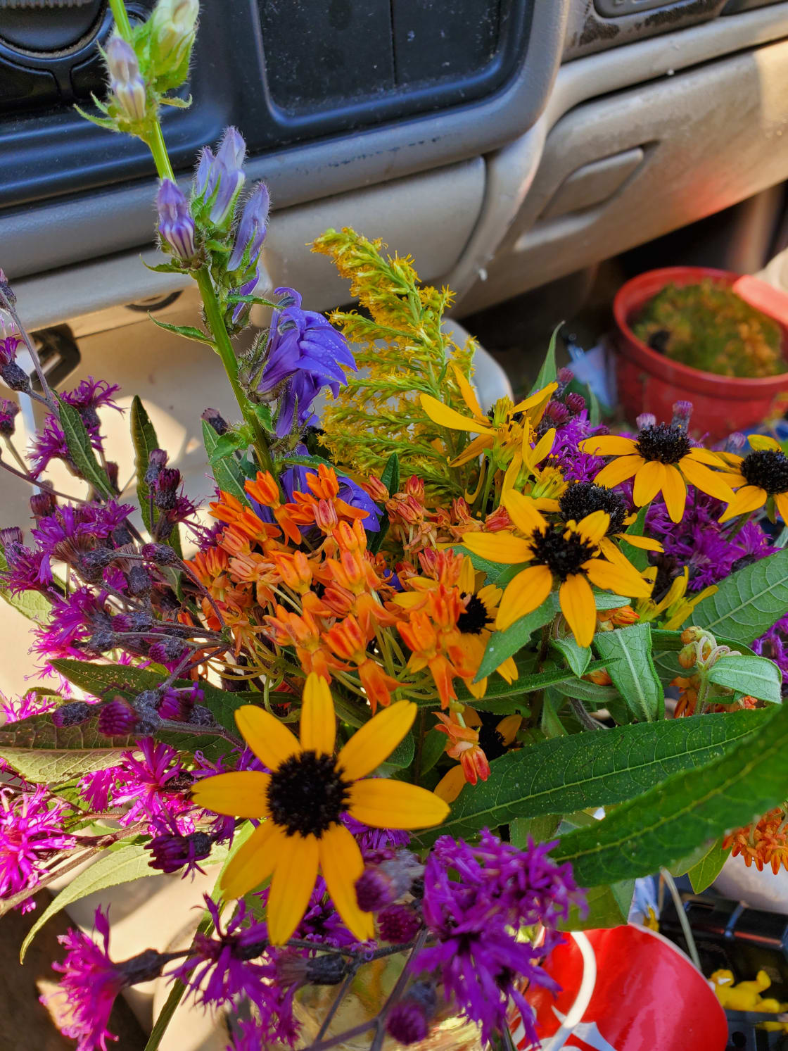 Wild flowers from the farm 