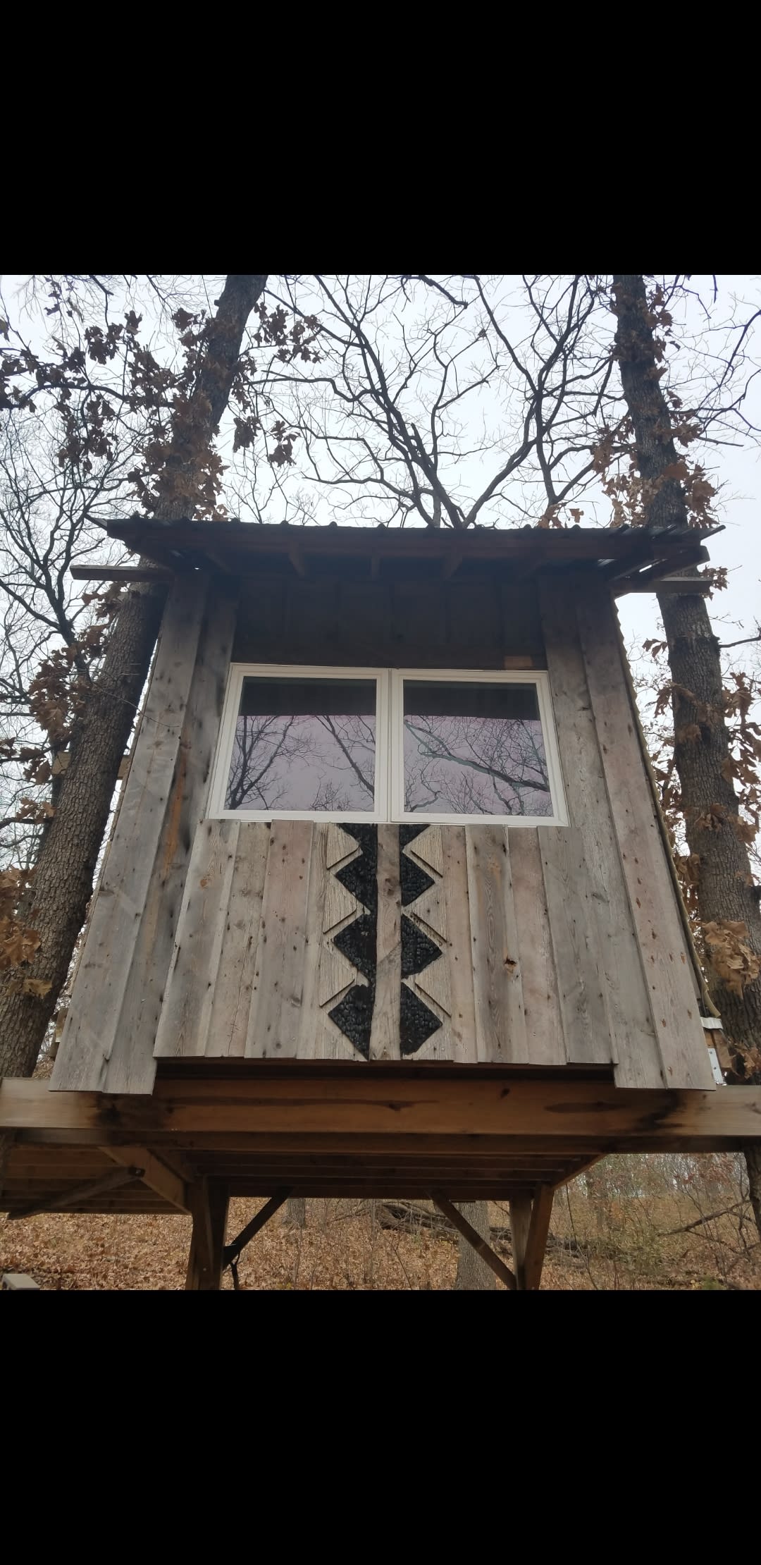 Front of treehouse 