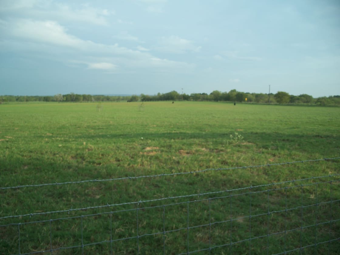 Pasture towards the Southeast of your spot.