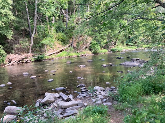 Catawissa creek in July
