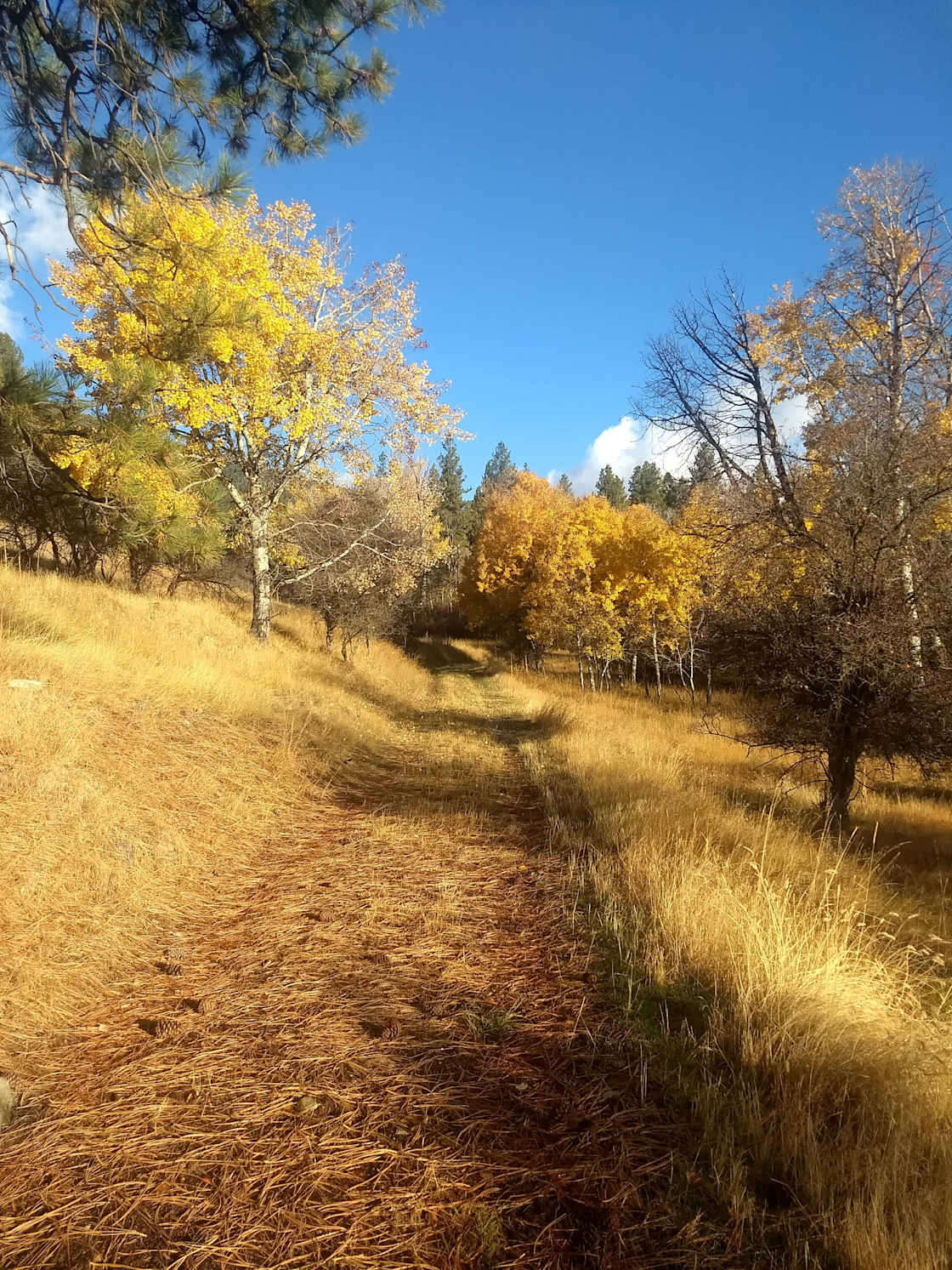 Creekside getaway 