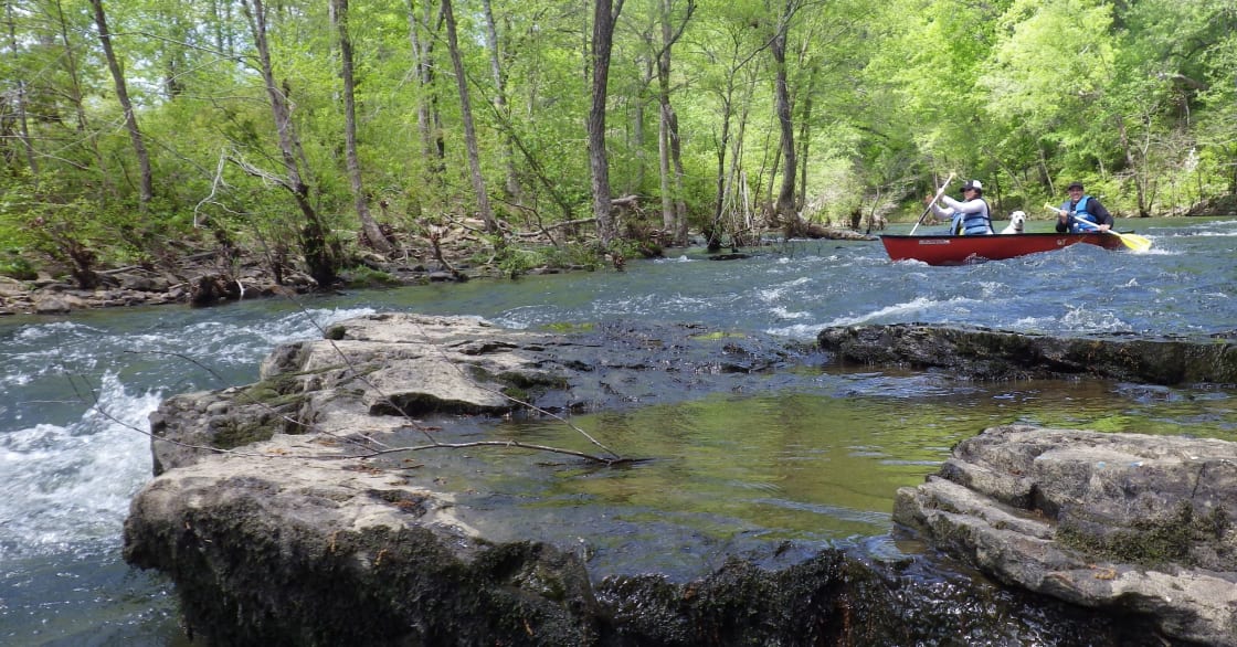 The camping is awesome but if spring and have a little extra time please consider getting out on the creek and really enjoying nature's marvelous works and wonders.