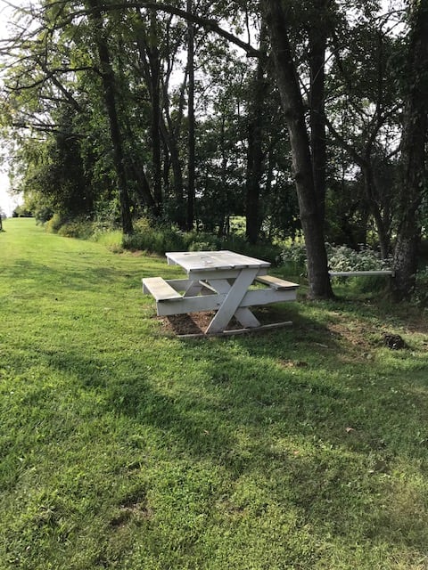 Among the many trails, their is a picnic table, tree benches, and large tree swing all located on over 50 acres of a private horse farm.