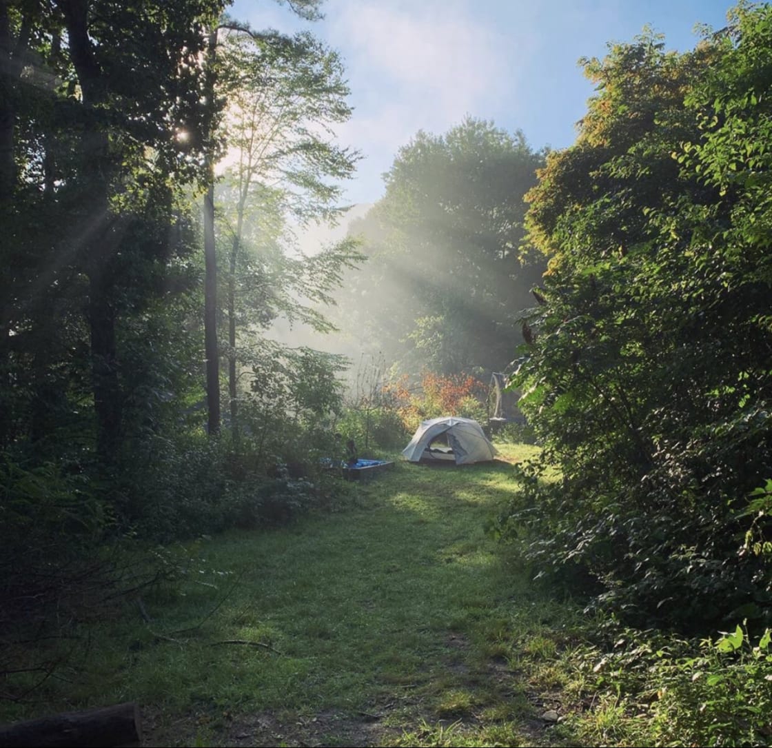 A camper took this photo one morning.  There's a view behind those trees, but we love our trees, so, cozy mountain home it is.