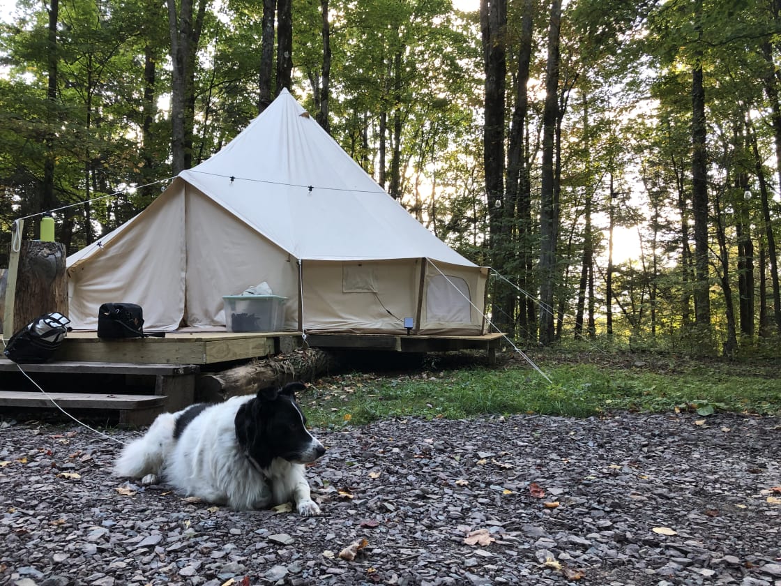 Canvas Private Glamping Yurt