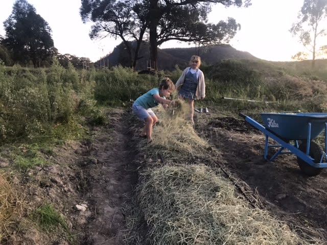 Our kids helping with garlic bed formation ready for Season 3.