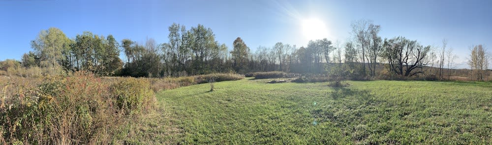 Pano view of the campsite in the fall. (Fire pit not shown.)